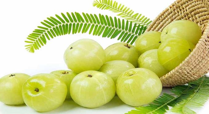 খালি পেটে আমলকি খেলে দূরে থাকবে অনেক সমস্যা