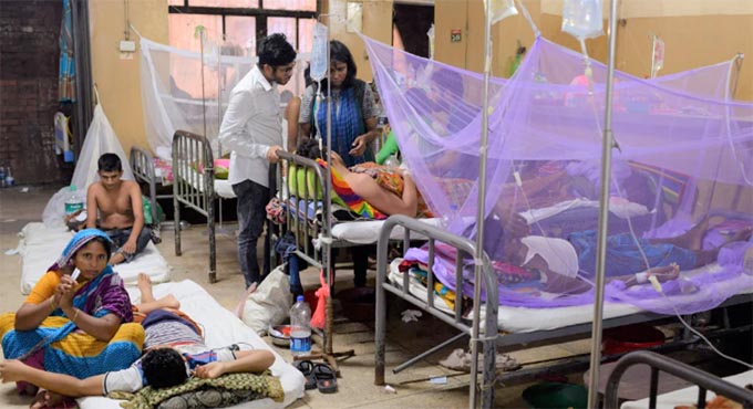 ডেঙ্গুতে আরো ৫ জনের মৃত্যু, হাসপাতালে ভর্তি ৫৬২