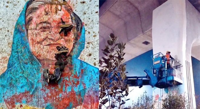 শেখ হাসিনার গ্রাফিতি মোছার চেষ্টা অনিচ্ছাকৃত ভুল : ঢাবি প্রশাসন