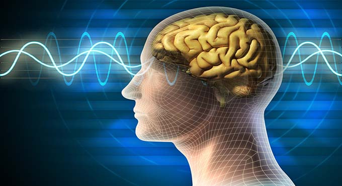 মস্তিষ্ক ভালো রাখতে প্রতিদিন ছয়টি কাজ করুন