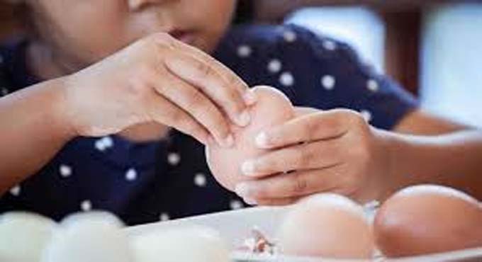 ডিম খেলে কি শিশুর উচ্চতা বাড়ে?