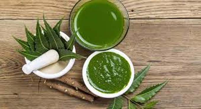 চুলের খুশকি রোধে নিম পাতার ঘরোয়া উপায়