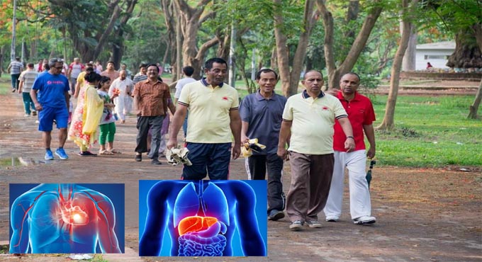 দৈনিক আধঘণ্টা হাঁটলেই ভালো থাকবে হার্ট ও লিভার : গবেষণা